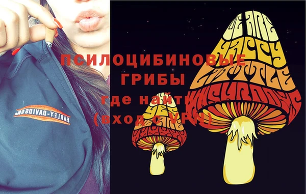 крисы Алексин