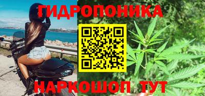 сатива Краснознаменск