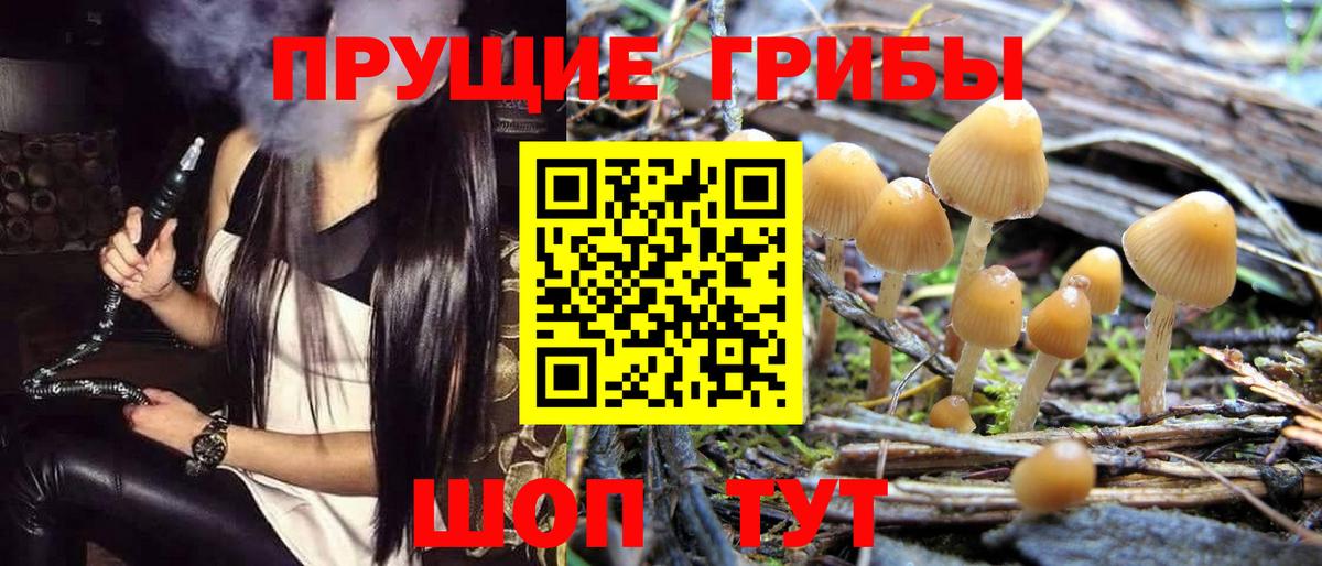 Железноводск  Псилоцибиновые грибы Cubensis  Вход с VPN  Псилоцибиновые грибы GOLDEN TEACHER 