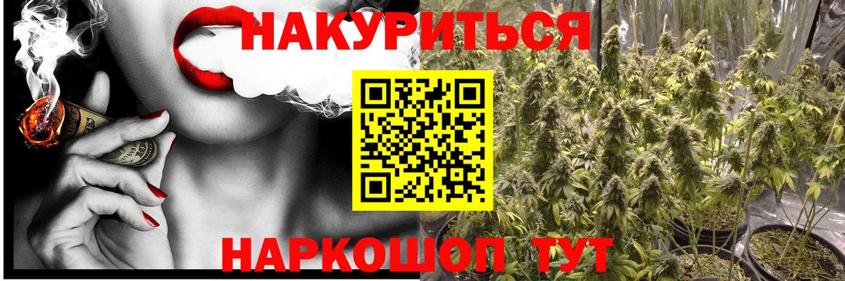 Шишки марихуана планчик Железноводск